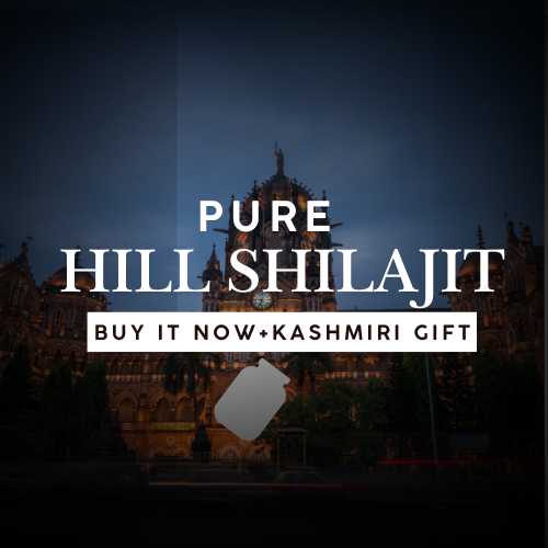 pure hills Shilajit