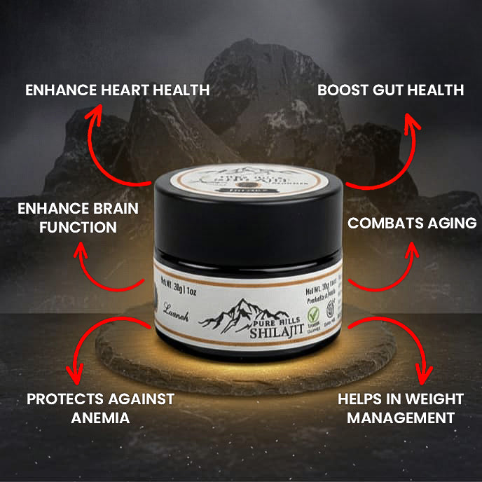 Buy Shilajit in Pakistan – Pure Himalayan Resin for Energy & Wellness